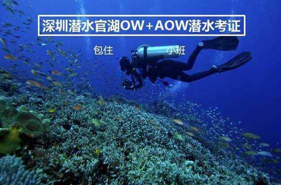 在职场怎么和人相处？